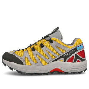 SALOMON �T������ �����Y �X�j�[�J�[ �ySalomon XA PRO 1 Advanced 'Grey' 414820�z �T�C�Y US_10.5(28.5cm)