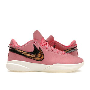 Nike �i�C�L �����Y �X�j�[�J�[ �yNike LeBron 20 South Beast�z �T�C�Y US_10.5(28.5cm) Multi-Color/Multi-Color