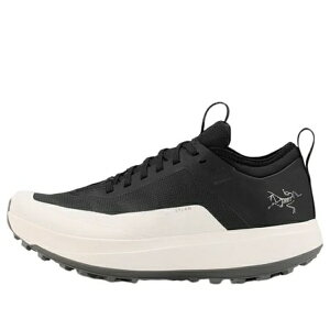Arc'Teryx A[NeNX Y Xj[J[ yArc'Teryx Sylan GT 'Black White' L08142600z TCY US_8.5(26.5cm)