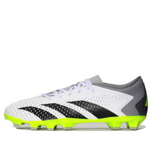 �v���f�^�[ �A�L�����V�[.3 L HG/AG IE9478