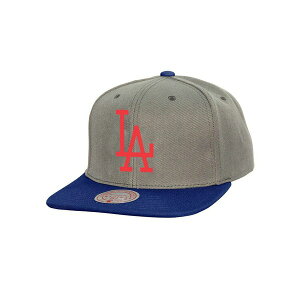 �~�b�`�F��&�l�X �����Y �X�q �A�N�Z�T���[ Men's Gray Los Angeles Dodgers Cooperstown Collection Basic Flip Snapback Hat Gray
