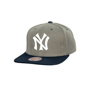 �~�b�`�F��&�l�X �����Y �X�q �A�N�Z�T���[ Men's Gray New York Yankees Cooperstown Collection Basic Flip Snapback Hat Gray