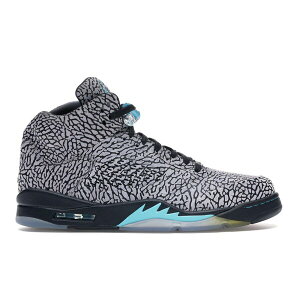 Jordan �W���[�_�� �����Y �X�j�[�J�[ �yJordan 5 Retro 3Lab5�z �T�C�Y US_M_14 Cement Grey/Gamma Blue-Black