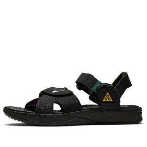 Nike �i�C�L �����Y �X�j�[�J�[ �yNike x ACG Air Deschutz 'Black Vivid Purple' CT2890-003�z �T�C�Y US_12(30.0cm)