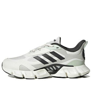 adidas AfB_X Y Xj[J[ yadidas Climacool 'White Light Green' IF0637z TCY US_M_13