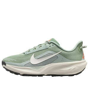 Nike �i�C�L ���f�B�[�X �X�j�[�J�[ �y(WMNS) Nike ACG Pegasus Trail 'Jade Horizon Light Silver' HV8121-310�z �T�C�Y US_6.5(23.5cm)