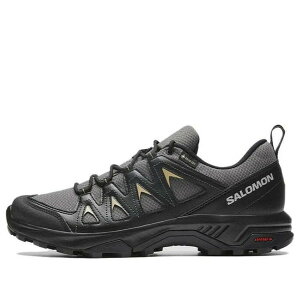 サロモン X BRAZE GTX (トレッキングシューズ・登山靴) 価格比較 