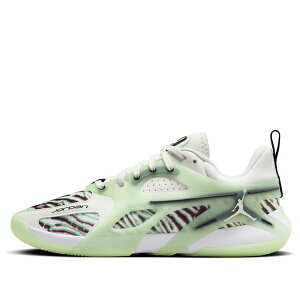 Jordan �W���[�_�� ���f�B�[�X �X�j�[�J�[ �y(WMNS) Air Jordan Heir 'Main Character' FZ2471-100�z �T�C�Y US_7.5(24.5cm)