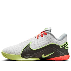 Nike iCL Y Xj[J[ yNike LeBron 22 EP 'Crown Jewel' FZ1095-101z TCY US_12(30.0cm)