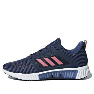 adidas �A�f�B�_�X ���f�B�[�X �X�j�[�J�[ �y(WMNS) adidas Climacool Vent 'Blue Pink White' CM7402�z �T�C�Y US_6(23.0cm)