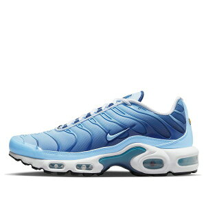 Nike �i�C�L ���f�B�[�X �X�j�[�J�[ �y(WMNS) Nike Air Max Plus 'Celestine Blue' FJ4736-400�z �T�C�Y US_W_11