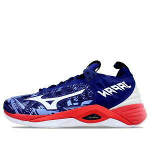 Mizuno ~Ym Y Xj[J[ White/Blue/Red yMizuno Wave Momentum 2 Blue/Red V1GA191164z TCY US_10(28.0cm)