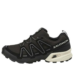 SALOMON �T������ �����Y �X�j�[�J�[ �ySALOMON Speedcross 3 Expanse 'Asphalt' 478866�z �T�C�Y US_11(29.0cm)