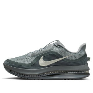 Nike �i�C�L �����Y �X�j�[�J�[ �yNike Pegasus Premium 'Wolf Grey' HQ2592-013�z �T�C�Y US_12.5(30.5cm)