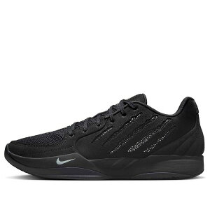 Nike �i�C�L �����Y �X�j�[�J�[ �yNike x Swarovski Ja 2 'All-Star Black Label Scratch Bling' IB3859-001�z �T�C�Y US_M_13