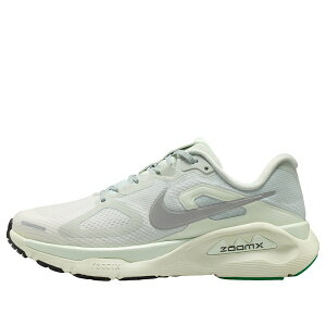 Nike �i�C�L ���f�B�[�X �X�j�[�J�[ �y(WMNS) Nike Structure Plus 'Light Silver' HQ3049-004�z �T�C�Y US_5.5(22.5cm)