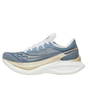 Saucony �T�b�J�j�[ ���f�B�[�X �X�j�[�J�[ �y(WMNS) Saucony Endorphin Pro 5 'Storm Blue' SA11064-142�z �T�C�Y US_7(24.0cm)