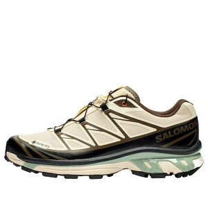 SALOMON �T������ �����Y �X�j�[�J�[ �ySALOMON x SNS XT-6 Gore-Tex 'Almond Milk Seagrass' 477928�z �T�C�Y US_8.5(26.5cm)