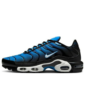 Nike �i�C�L �����Y �X�j�[�J�[ �yNike Air Max Plus 'Aquarius Blue' DM0032-402�z �T�C�Y US_8(26.0cm)