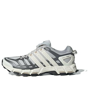 adidas �A�f�B�_�X �����Y �X�j�[�J�[ �yadidas Adistar Raven 'Grey Wonder Beige' IH8015�z �T�C�Y US_M_4