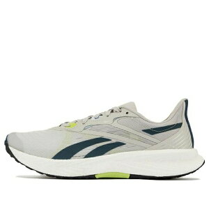 Reebok ���[�{�b�N �����Y �X�j�[�J�[ �yReebok Floatride Energy 5 'Steely Fog Laser Lime' 100033386�z �T�C�Y US_M_14