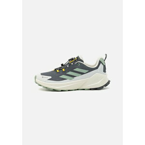 AfB_X ebNX Y tBbglX X|[c NATIONAL GEOGRAPHIC TRAILMAKER 2.0 GORE-TEX HIKING - Hiking shoes - carbon/silver green/orbit grey