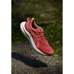 アシックス レディース フィットネス スポーツ JOLT 5 - Road running shoes - dark pink clay/pink clay