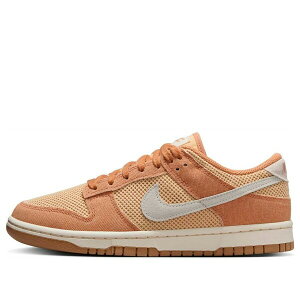 Nike iCL fB[X Xj[J[ Amber Brown/White Onyx/Gum Light Brown/Pale Ivory y(WMNS) Nike Dunk Low Next Nature SE 'Amber Brown' HJ5864-200z TCY US_9(26.0cm)