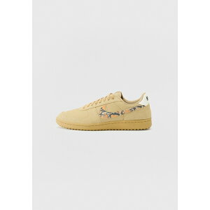 iCL Y Xj[J[ V[Y FIELD GENERAL - Trainers - parachute beige/multi-color sail/black