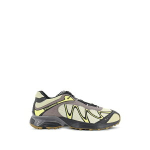 �T������ �����Y �X�j�[�J�[ �V���[�Y Xt-whisper panelled sneakers Neutrals