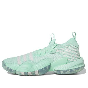 adidas �A�f�B�_�X �����Y �X�j�[�J�[ �yadidas Trae Young 2.0 Basketball Shoes 'Easy Green' IG5333�z �T�C�Y US_6.5(24.5cm)