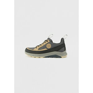 nO fB[X tBbglX X|[c ROTPUNKT - Hiking shoes - l?rche/anthracite