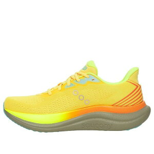 Saucony �T�b�J�j�[ �����Y �X�j�[�J�[ �ySaucony Triumph 23 'Vishikin' SA21023-144�z �T�C�Y US_11(29.0cm)