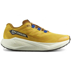 Salomon �T������ �����Y �X�j�[�J�[ �ySalomon Aero Blaze 3 GRVL Spicy Mustard Nautical Blue�z �T�C�Y US_7.5(25.5cm) Spicy Mustard/Vanilla Ice/Nautical Blue
