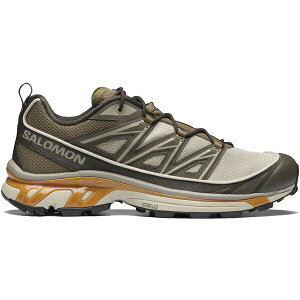 Salomon �T������ �����Y �X�j�[�J�[ �ySalomon XT-6 Expanse Feather Gray Golden Oak�z �T�C�Y US_10(28.0cm) Feather Gray/Delicioso/Golden Oak