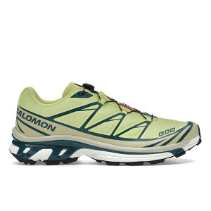 Salomon �T������ �����Y �X�j�[�J�[ �ySalomon XT-6 Lime�z �T�C�Y US_11.5(29.5cm) Lime/Southern Moss/Atdeep