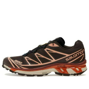 SALOMON �T������ �����Y �X�j�[�J�[ �ySalomon XT-6 'Delicioso' 417515�z �T�C�Y US_8.5(26.5cm)