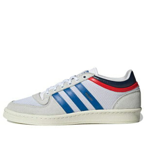 adidas AfB_X Y Xj[J[ yadidas Noah x Probound 'White Blue Bird' S42600z TCY US_5(23.0cm)