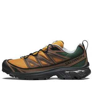SALOMON �T������ �����Y �X�j�[�J�[ �ySALOMON Xt-6 75th Anniversary 417053�z �T�C�Y US_11(29.0cm)