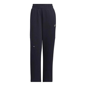 adidas AfB_X fB[X Xj[J[ y(WMNS) adidas FW24 Small Logo Fleece Joggers 'Navy Silver' JJ3572z TCY US_W_XS