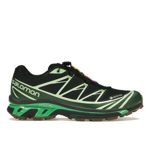 Salomon T Y Xj[J[ ySalomon Advanced XT-6 Gore-Tex Eden Green Ashz TCY US_M_4.5 Black/Eden/Green Ash