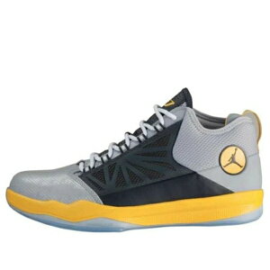 Jordan �W���[�_�� �����Y �X�j�[�J�[ �yAir Jordan CP3.IV T23 'Wolf Grey Maize' 454779-001�z �T�C�Y US_10(28.0cm)