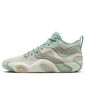 Jordan �W���[�_�� �����Y �X�j�[�J�[ �yAir Jordan Tatum 3 'Zero Days Off' FZ6598-002�z �T�C�Y US_M_17