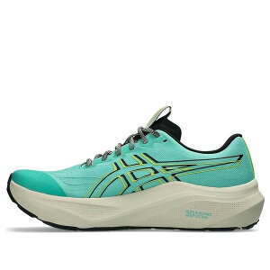 ASICS �A�V�b�N�X �����Y �X�j�[�J�[ �yASICS GT-2000 14 TR 'Aurora Green Cacti' 1011C219-300�z �T�C�Y US_11(29.0cm)