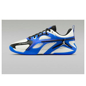 Jordan �W���[�_�� �����Y �X�j�[�J�[ �yAir Jordan Heir PF 'Blue' IO0410-114�z �T�C�Y US_9(27.0cm)