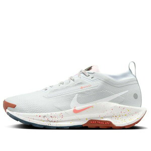 Nike �i�C�L ���f�B�[�X �X�j�[�J�[ �y(WMNS) Nike Pegasus Trail 5 Gore-Tex 'Pure Platinum Football Grey' FQ0912-007�z �T�C�Y US_9(26.0cm)