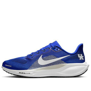 Nike iCL Y Xj[J[ yNike x NCAA Pegasus 41 'Kentucky' IB3266-400z TCY US_6(24.0cm)