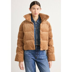 JoNC fB[X WPbgu] AE^[ INSULATED PUFFER - Down jacket - thrush