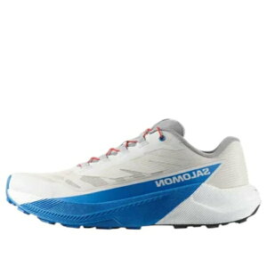 SALOMON �T������ �����Y �X�j�[�J�[ �ySALOMON Pulsar 'Lunar Rock French Blue' 479733�z �T�C�Y US_10(28.0cm)