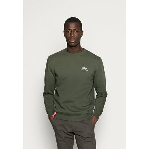 At@C_Xg[Y Y T_ V[Y BASIC SMALL LOGO - Sweatshirt - dark oliv